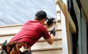 Best Custom Trim and Detailing for Siding  in Madison, SD